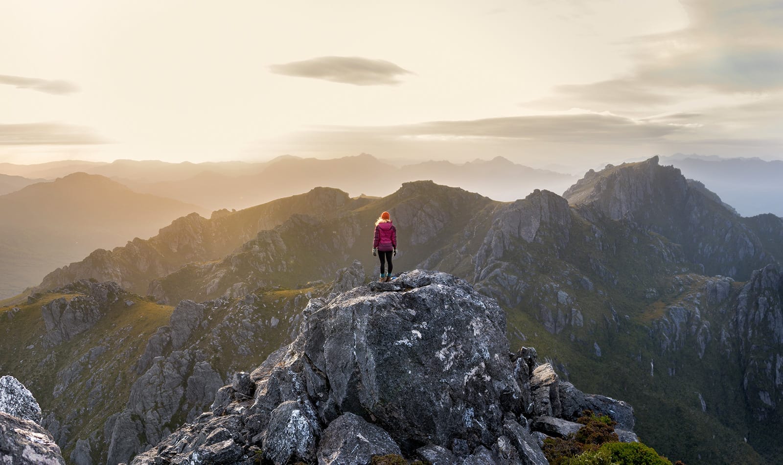 Example image with contrast, highlights, shadows and 2 color tones