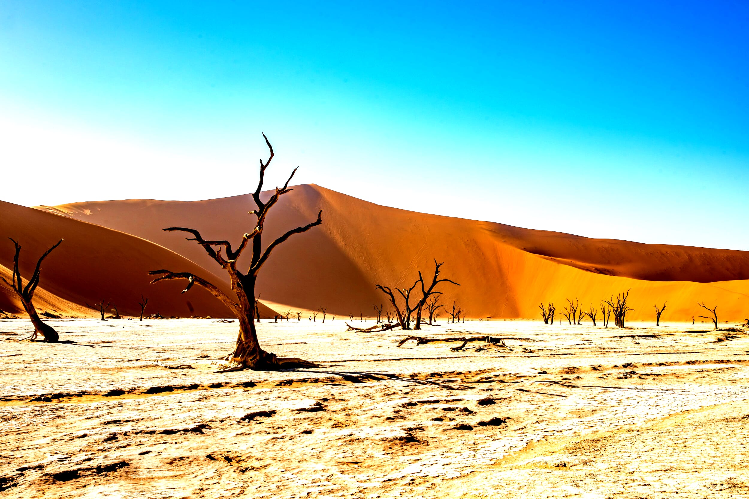 Example image with increased contrast