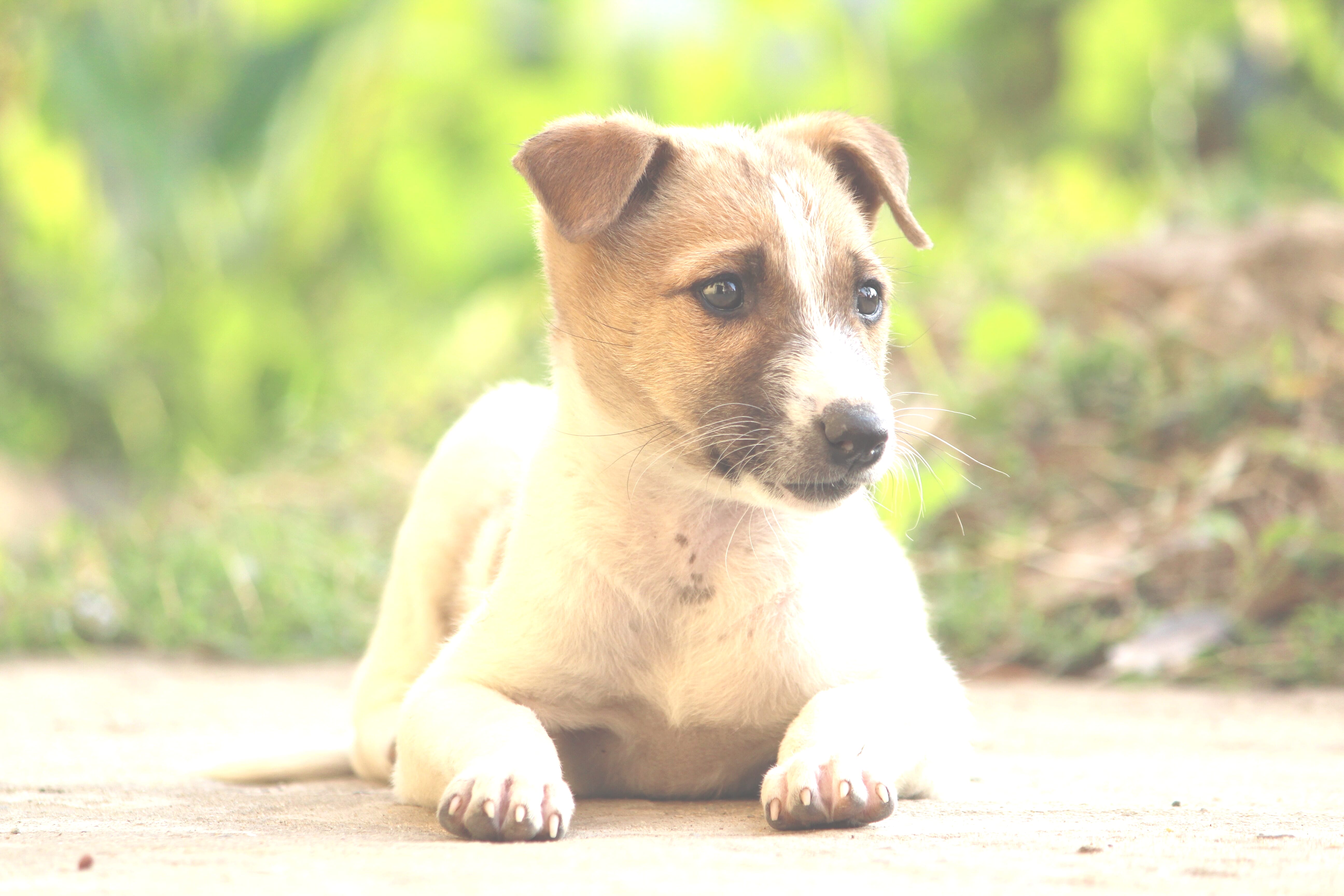 Example image brightened