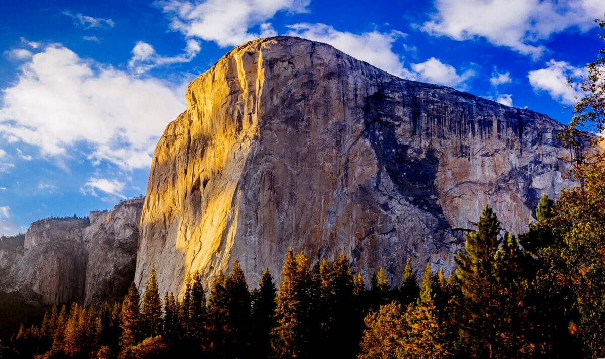 Black level increased