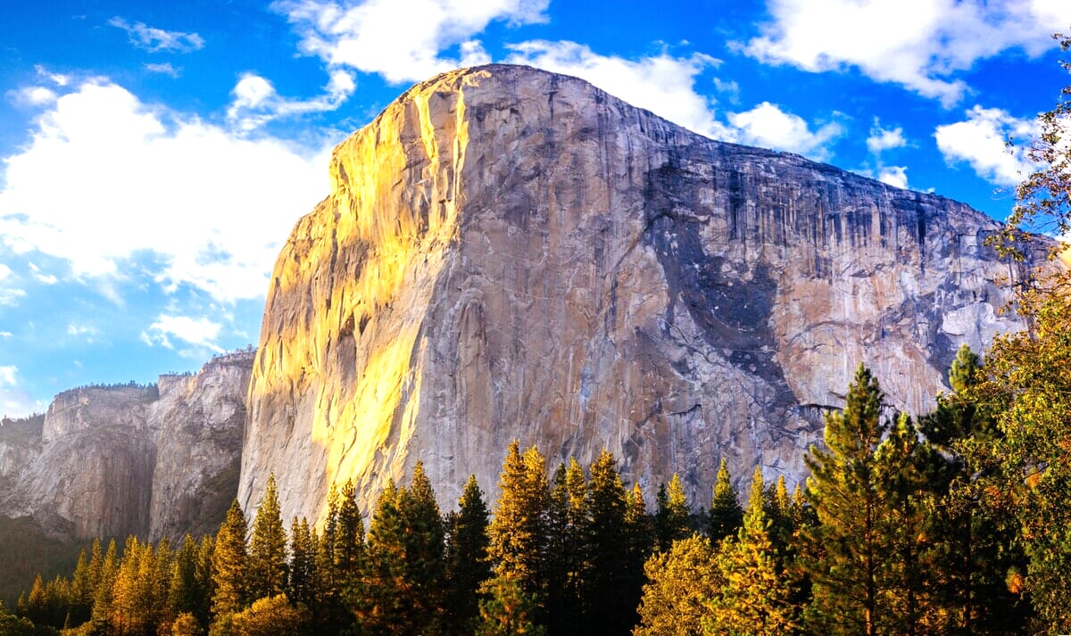 White level increased