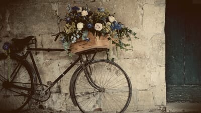 Example image with contrast, saturation, vignette and 2 color tones